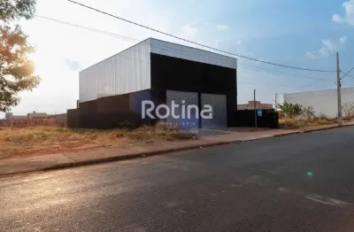 Galpão para alugar, são jorge - uberlândia/mg - rotina imobiliária