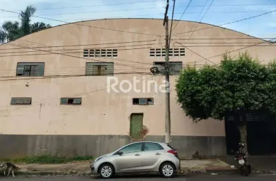 Galpão para alugar, osvaldo rezende - uberlândia/mg - rotina imobiliária
