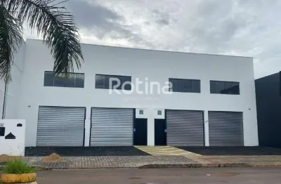 Galpão para alugar, morumbi - uberlândia/mg - rotina imobiliária