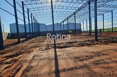 Galpão para alugar, loteamento empresarial taiaman - uberlândia/mg - rotina imobiliária