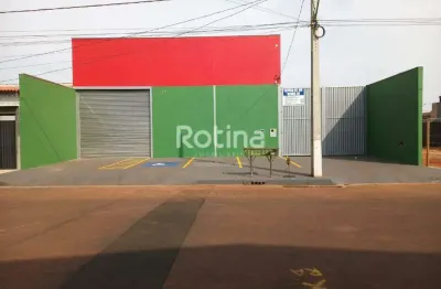 Galpão para alugar, novo mundo - uberlândia/mg - rotina imobiliária