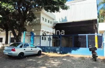 Galpão para alugar, distrito industrial - uberlândia/mg - rotina imobiliária