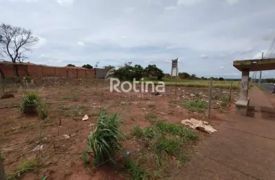 Terreno para alugar, shopping park - uberlândia/mg - rotina imobiliária