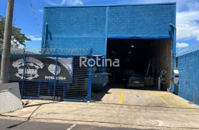 Galpão para alugar, santa rosa - uberlândia/mg - rotina imobiliária