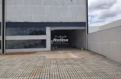 Galpão para alugar, alto umuarama - uberlândia/mg - rotina imobiliária