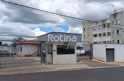 Apartamento para alugar, 2 quartos, Shopping Park - Uberlândia/MG - Rotina Imobiliária