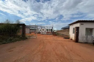 Galpão para alugar, distrito industrial - uberlândia/mg - rotina imobiliária