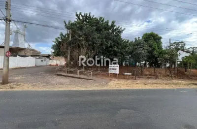 Galpão para alugar, distrito industrial - uberlândia/mg - rotina imobiliária