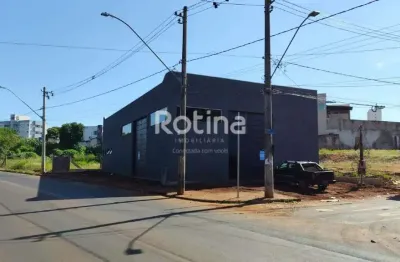 Galpão para alugar, osvaldo rezende - uberlândia/mg - rotina imobiliária