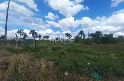 Área para alugar, marta helena - uberlândia/mg - rotina imobiliária