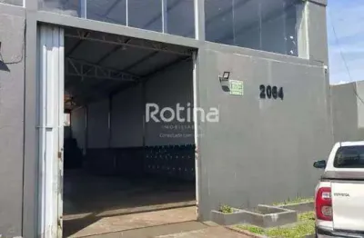 Galpão para alugar, vigilato pereira - uberlândia/mg - rotina imobiliária