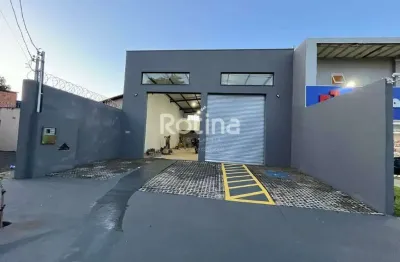 Galpão para alugar, jardim europa - uberlândia/mg - rotina imobiliária