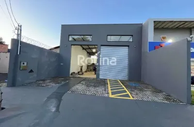 Galpão para alugar, jardim europa - uberlândia/mg - rotina imobiliária