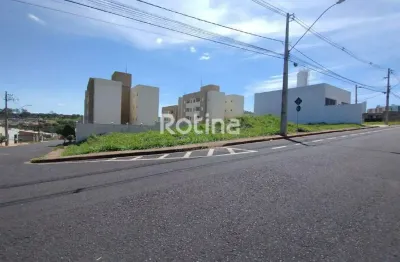 Terreno para alugar, shopping park - uberlândia/mg - rotina imobiliária