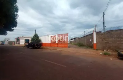 Galpão para alugar, segismundo pereira - uberlândia/mg - rotina imobiliária
