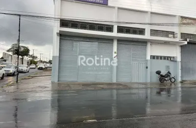 Galpão para alugar, umuarama - uberlândia/mg - rotina imobiliária