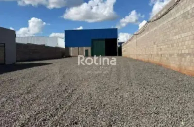 Galpão para alugar, distrito industrial - uberlândia/mg - rotina imobiliária