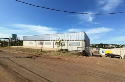 Galpão para alugar, distrito industrial - uberlândia/mg - rotina imobiliária