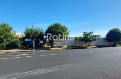 Casa comercial para alugar, 3 quartos, osvaldo rezende - uberlândia/mg - rotina imobiliária