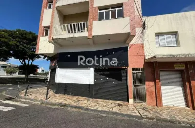 Apartamento para alugar, 3 quartos, bom jesus - uberlândia/mg - rotina imobiliária