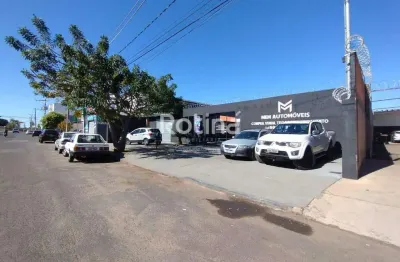 Loja para alugar, alto umuarama - uberlândia/mg - rotina imobiliária