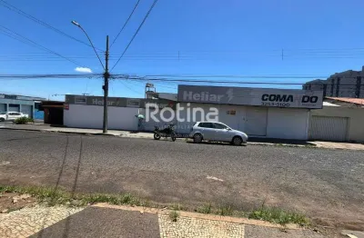 Galpão para alugar, martins - uberlândia/mg - rotina imobiliária