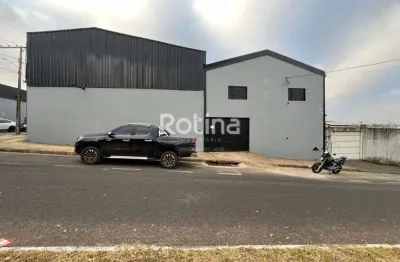 Galpão para alugar, santa rosa - uberlândia/mg - rotina imobiliária