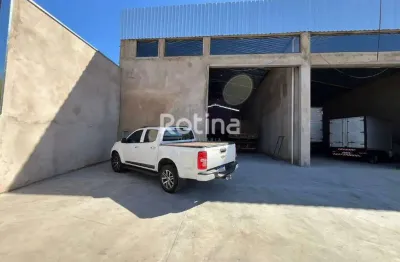 Galpão para alugar, minas gerais - uberlândia/mg - rotina imobiliária