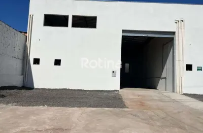 Galpão para alugar, dona zulmira - uberlândia/mg - rotina imobiliária