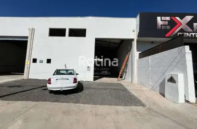 Galpão para alugar, dona zulmira - uberlândia/mg - rotina imobiliária