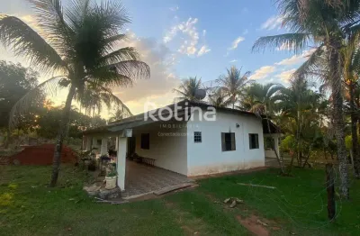 Chacara para alugar, 3 quartos, jockey camping - uberlândia/mg - rotina imobiliária