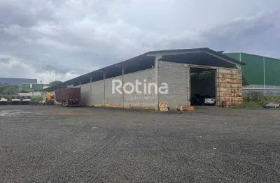 Galpão para alugar, distrito industrial - uberlândia/mg - rotina imobiliária