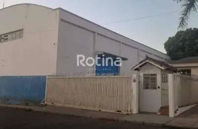 Galpão para alugar, custódio pereira - uberlândia/mg - rotina imobiliária