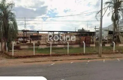 Área para alugar, brasil - uberlândia/mg - rotina imobiliária