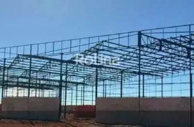 Galpão para alugar, loteamento centro empresarial leste i - uberlândia/mg - rotina imobiliária