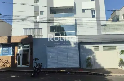 Apartamento para alugar, 2 quartos, segismundo pereira - uberlândia/mg - rotina imobiliária