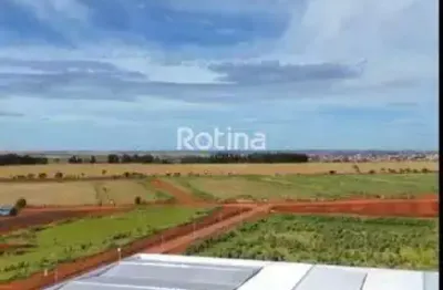 Galpão para alugar, loteamento centro empresarial leste i - uberlândia/mg - rotina imobiliária