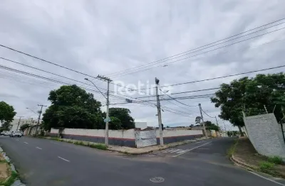 Área para alugar, vigilato pereira - uberlândia/mg - rotina imobiliária
