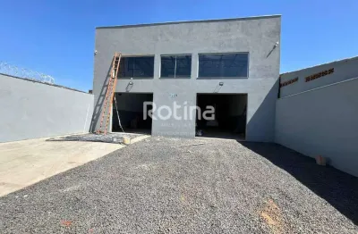 Galpão para alugar, pacaembu - uberlândia/mg - rotina imobiliária