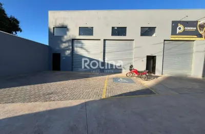 Galpão para alugar, alto umuarama - uberlândia/mg - rotina imobiliária