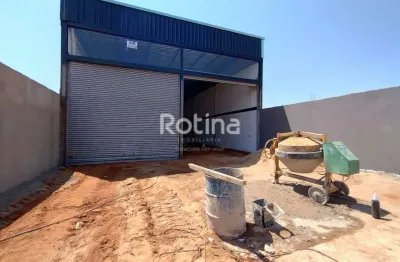 Galpão para alugar, residencial fruta do conde - uberlândia/mg - rotina imobiliária