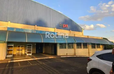 Galpão para alugar, Distrito Industrial - Uberlândia/MG - Rotina Imobiliária