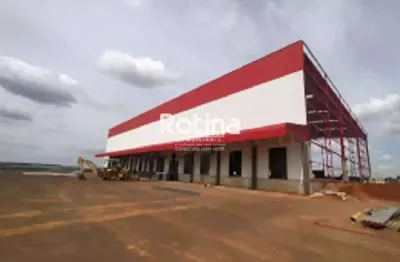 Galpão para alugar, distrito industrial - uberlândia/mg - rotina imobiliária
