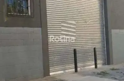 Galpão para alugar, jardim europa - uberlândia/mg - rotina imobiliária