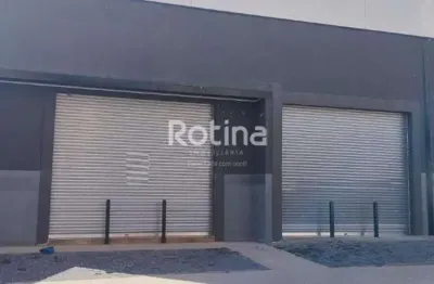 Galpão para alugar, jardim europa - uberlândia/mg - rotina imobiliária