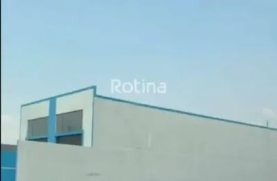 Galpão para alugar, novo mundo - uberlândia/mg - rotina imobiliária