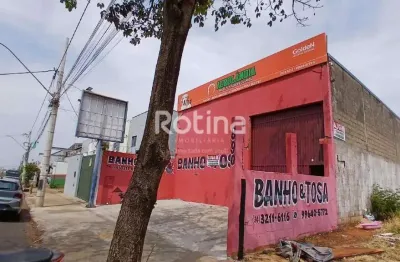 Galpão para alugar, alto umuarama - uberlândia/mg - rotina imobiliária