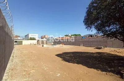 Terreno para alugar, martins - uberlândia/mg - rotina imobiliária