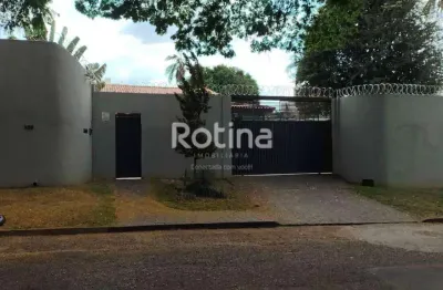 Casa para alugar, 4 quartos, cidade jardim - uberlândia/mg - rotina imobiliária