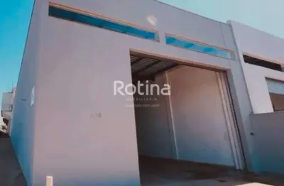 Galpão para alugar, custódio pereira - uberlândia/mg - rotina imobiliária